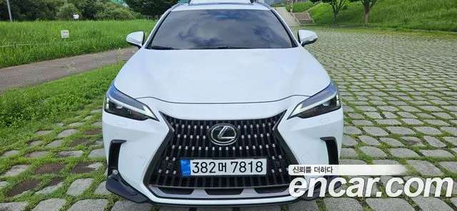 Lexus NX350h 2 Premium