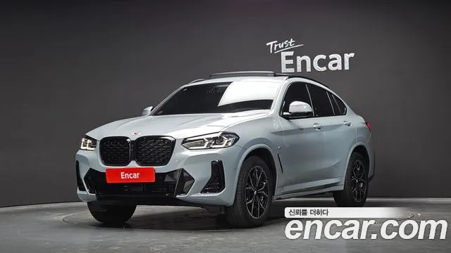 BMW X4 (G02) xDrive20i M