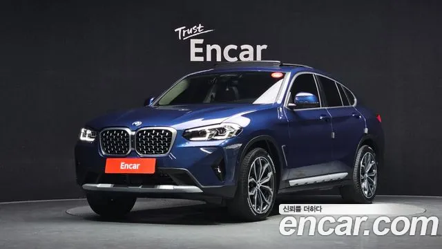 BMW X4 (G02) xDrive20i xLine