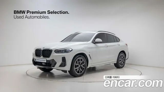 BMW X4 (G02) xDrive20i M