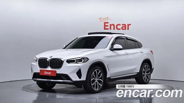 BMW X4 (G02) xDrive20i xLine