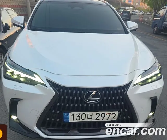 Lexus NX350h 2
