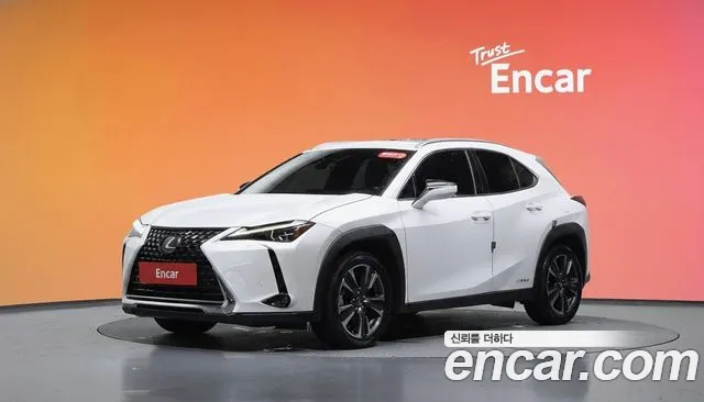 Lexus UX250h 2.0 AWD