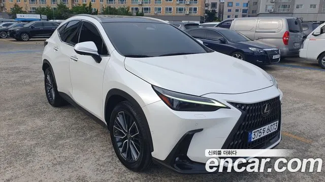 Lexus NX350h 2