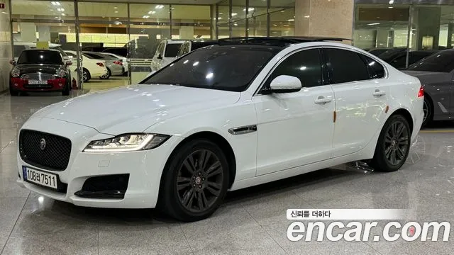 Jaguar XF (X260) 25t
