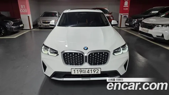 BMW X4 (G02) xDrive20i xLine