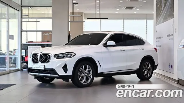 BMW X4 (G02) xDrive20i xLine