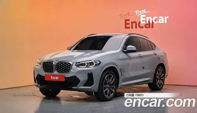 BMW X4 (G02) xDrive20i M