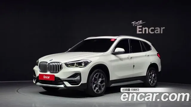 BMW X1 (F48) xDrive 20i xLine