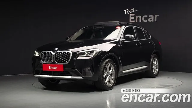 BMW X4 (G02) xDrive20i xLine
