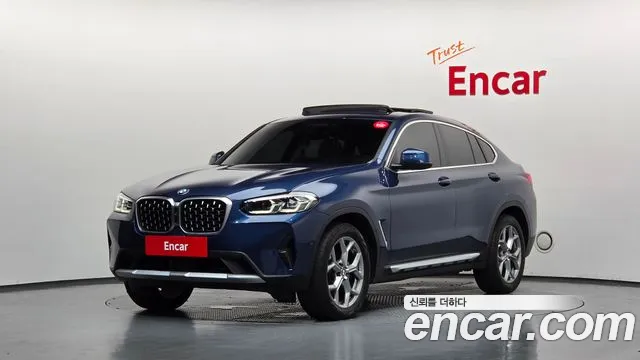 BMW X4 (G02) xDrive20i xLine