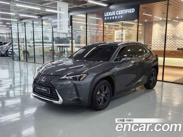 Lexus UX300h 2.0 2WD