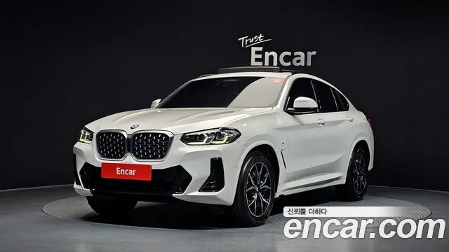 BMW X4 (G02) xDrive20d M