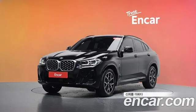 BMW X4 (G02) xDrive20i M