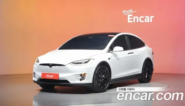 Tesla Model X 100 D