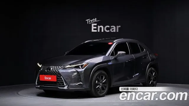 Lexus UX300h 2.0 2WD