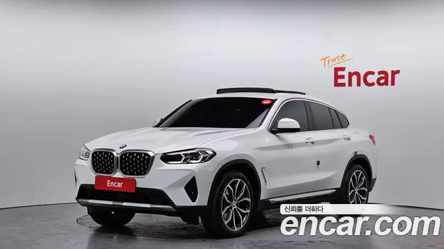 BMW X4 (G02) xDrive20i xLine