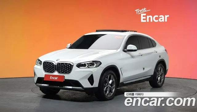 BMW X4 (G02) xDrive20i xLine