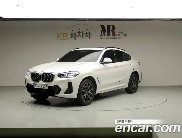BMW X4 (G02) xDrive20i M