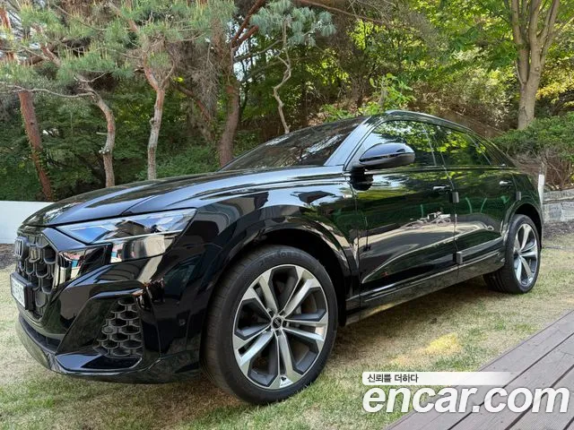 Audi Q8 (4M) 55 TFSI Premium