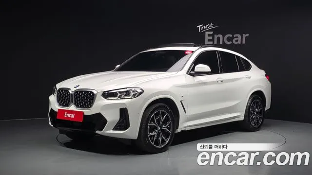 BMW X4 (G02) xDrive20i M