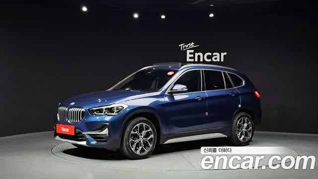 BMW X1 (F48) xDrive 20i xLine