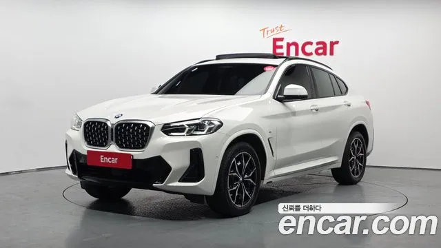 BMW X4 (G02) xDrive20i M
