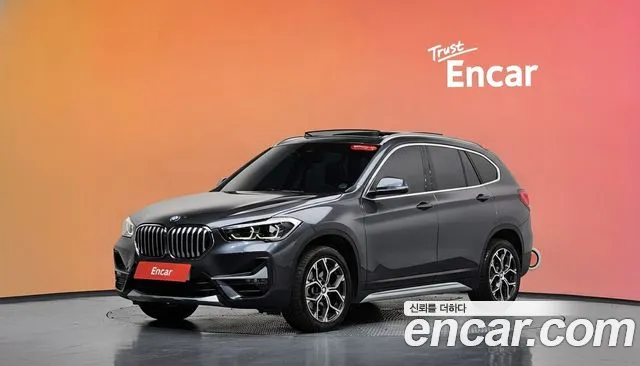 BMW X1 (F48) xDrive 20i xLine