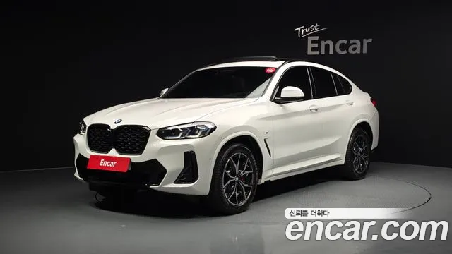 BMW X4 (G02) xDrive20i M