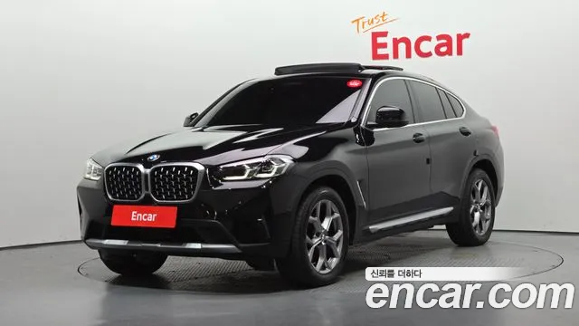 BMW X4 (G02) xDrive20i xLine