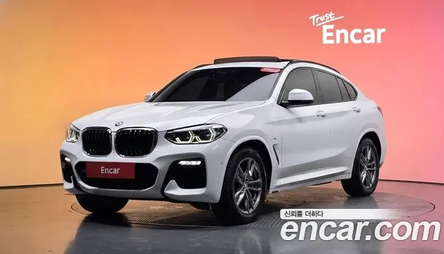 BMW X4 (G02) xDrive20d M
