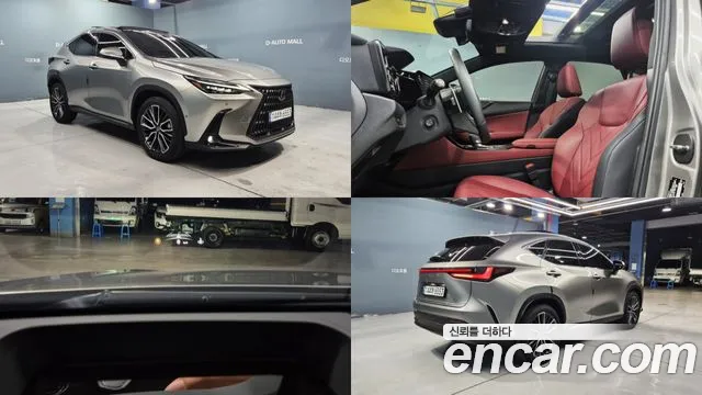 Lexus NX350h 2
