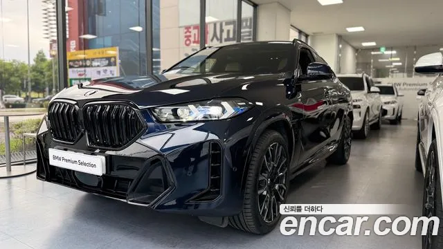 BMW X6 (G06) xDrive40i M