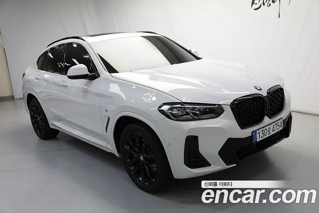 BMW X4 (G02) xDrive20i M