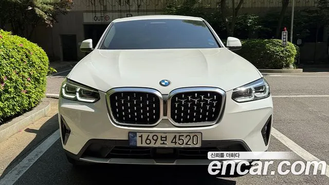BMW X4 (G02) xDrive20i xLine