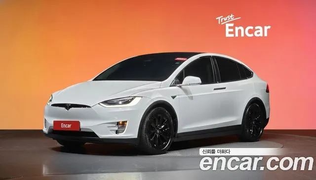 Tesla X 100D