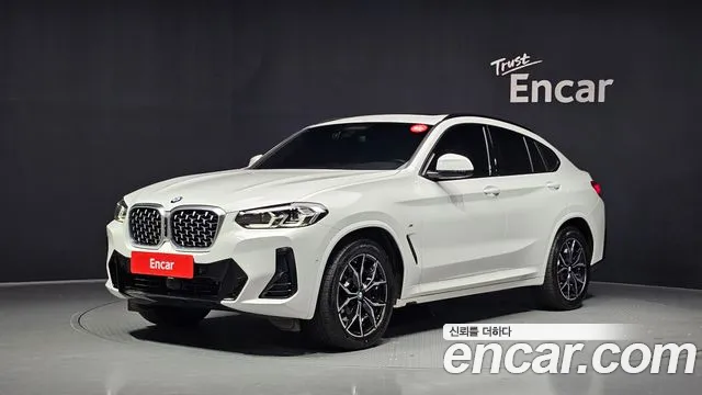 BMW X4 (G02) xDrive20i M