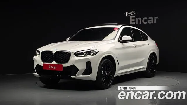 BMW X4 (G02) xDrive20i M