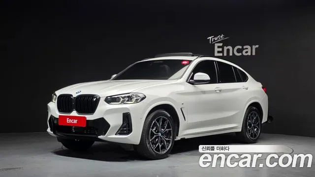 BMW X4 (G02) xDrive20i M