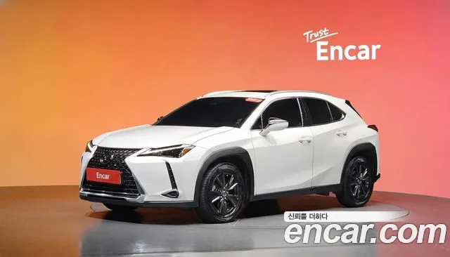 Lexus UX250h 2.0 2WD