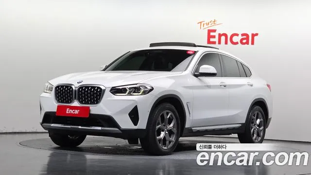 BMW X4 (G02) xDrive20 i xLine