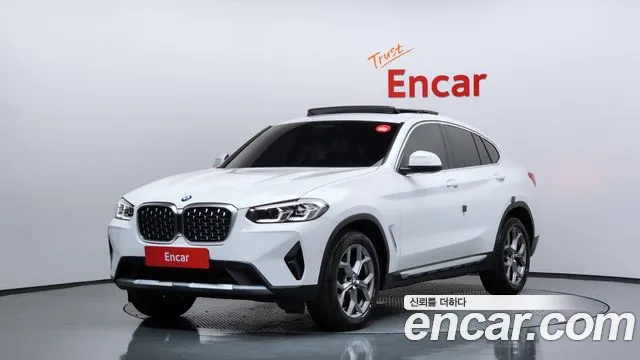 BMW X4 (G02) xDrive20i xLine