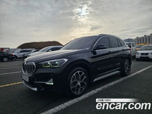 BMW X1 (F48) xDrive 20i xLine
