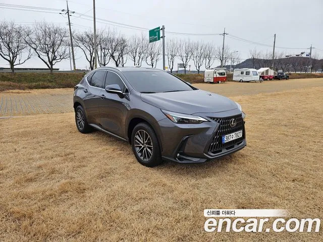 Lexus NX450h+ 2 Premium