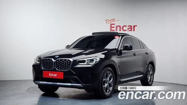 BMW X4 (G02) xDrive20i xLine