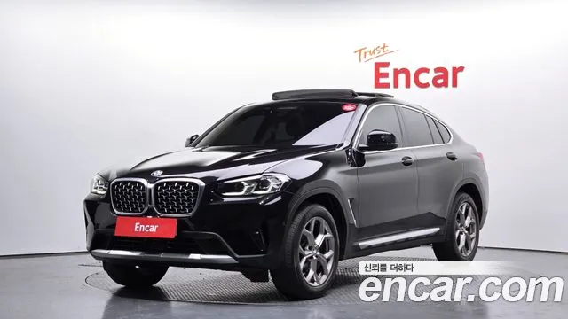 BMW X4 (G02) xDrive20i xLine