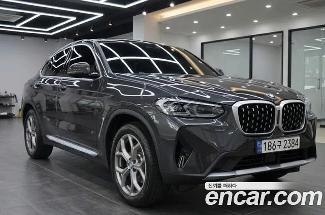 BMW X4 (G02) xDrive20i xLine
