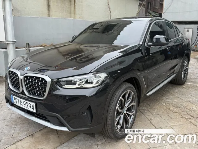 BMW X4 (G02) xDrive20i xLine