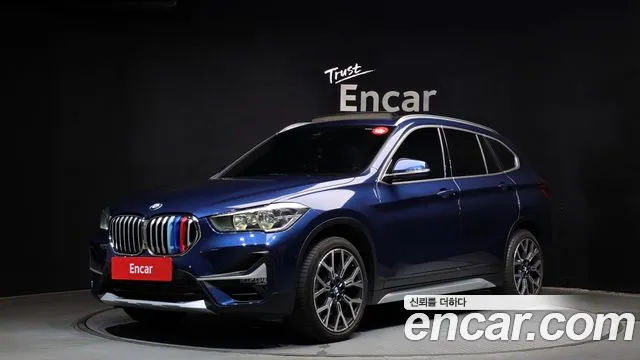 BMW X1 (F48) xDrive 20i xLine