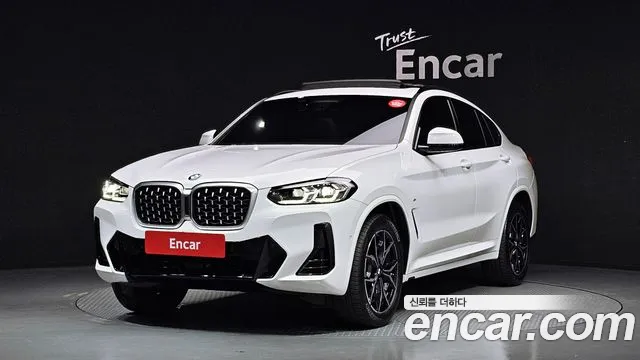 BMW X4 (G02) xDrive20i M